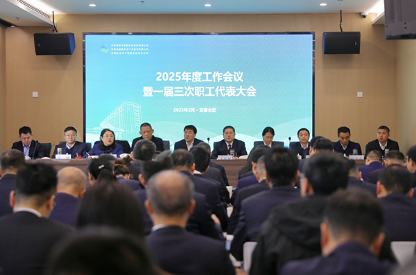 省城市更新集團等三家公司召開2025年度工作會議暨一屆三次職工代表大會
