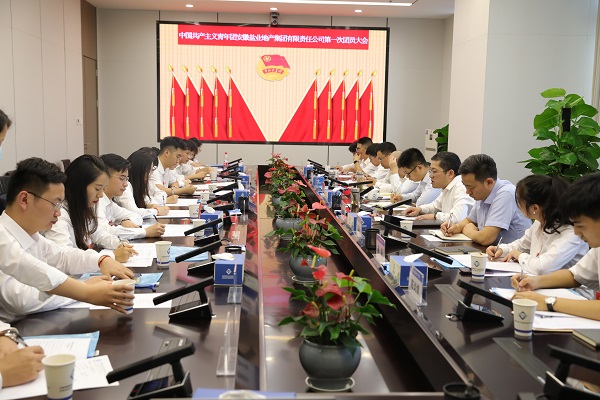 青春向黨傳薪火 踔厲奮發(fā)新時代——安徽鹽業(yè)地產(chǎn)集團(tuán)團(tuán)支部成立大會暨團(tuán)員大會勝利召開